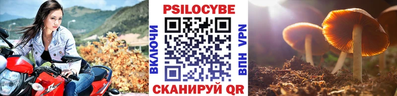 Псилоцибиновые грибы мухоморы  наркота  Николаевск 