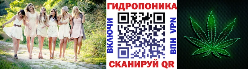 купить наркотик  Николаевск  мега tor  МАРИХУАНА AK-47 